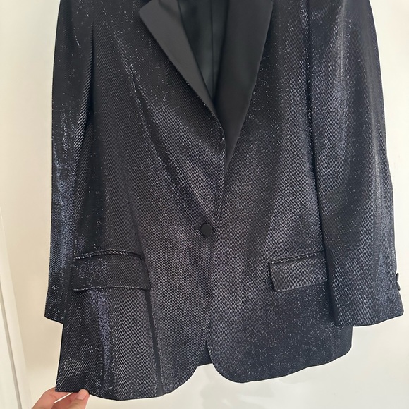 (Amazing) ZARA Sparkly Blazer - Picture 4 of 6
